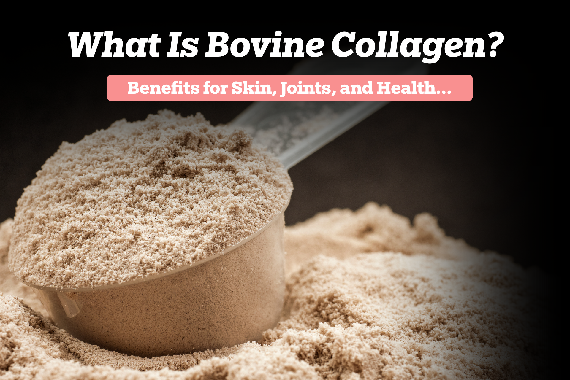What is Bovine Collagen